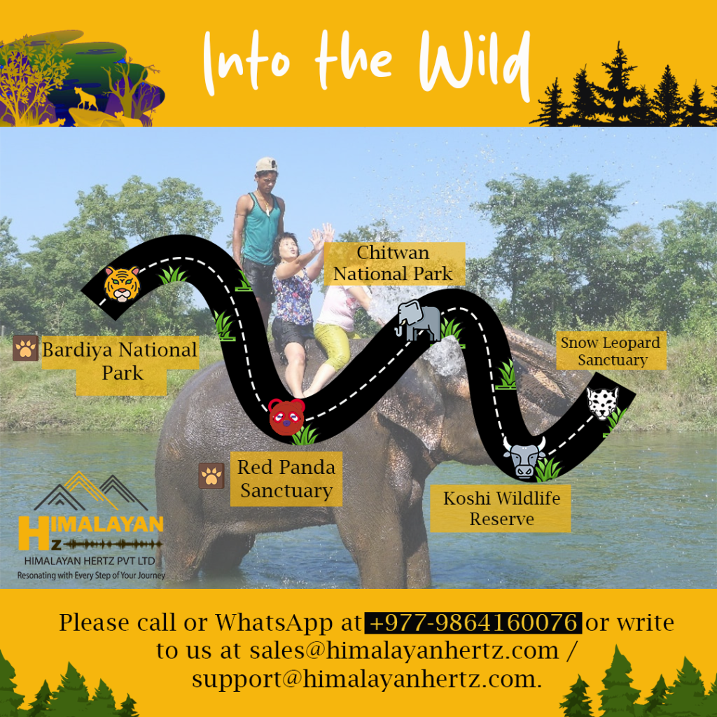Discover the World with Hertz Adventures: Your Gateway to Unforgettable Travel Experiences Copy